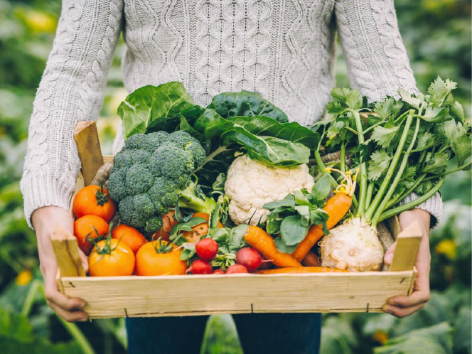 Woman holding basket of fresh vegetables